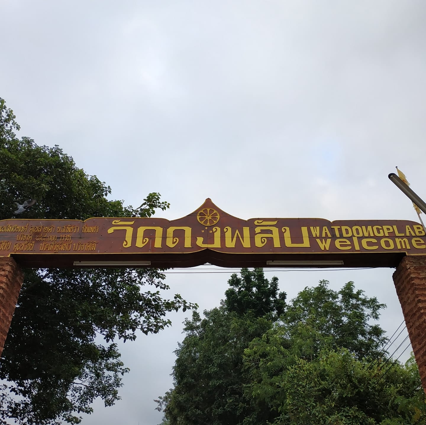 related image
